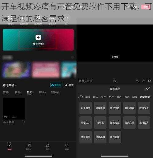 开车视频疼痛有声音免费软件不用下载，可满足你的私密需求