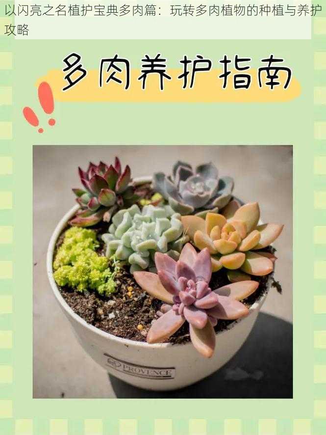 以闪亮之名植护宝典多肉篇：玩转多肉植物的种植与养护攻略