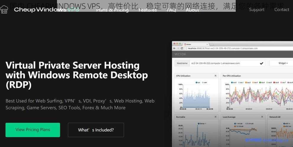 国内 CHEAPWINDOWS VPS，高性价比、稳定可靠的网络连接，满足您的各种需求