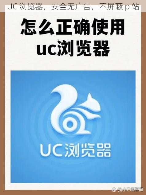 UC 浏览器，安全无广告，不屏蔽 p 站