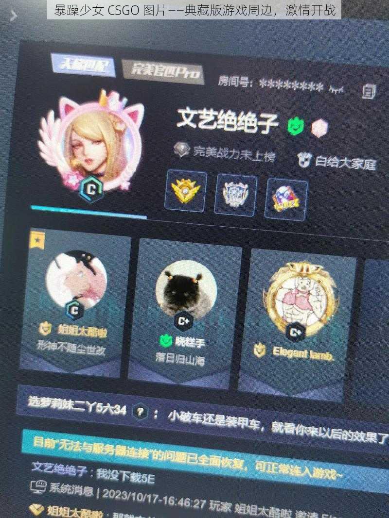 暴躁少女 CSGO 图片——典藏版游戏周边，激情开战