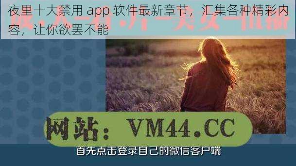 夜里十大禁用 app 软件最新章节，汇集各种精彩内容，让你欲罢不能