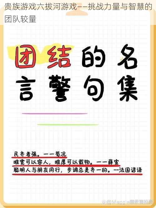 贵族游戏六拔河游戏——挑战力量与智慧的团队较量