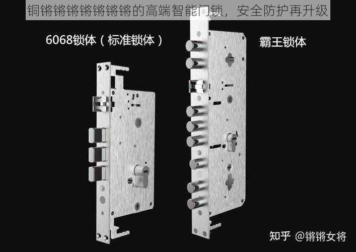 铜锵锵锵锵锵锵锵的高端智能门锁，安全防护再升级