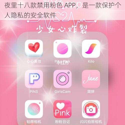 夜里十八款禁用粉色 APP，是一款保护个人隐私的安全软件