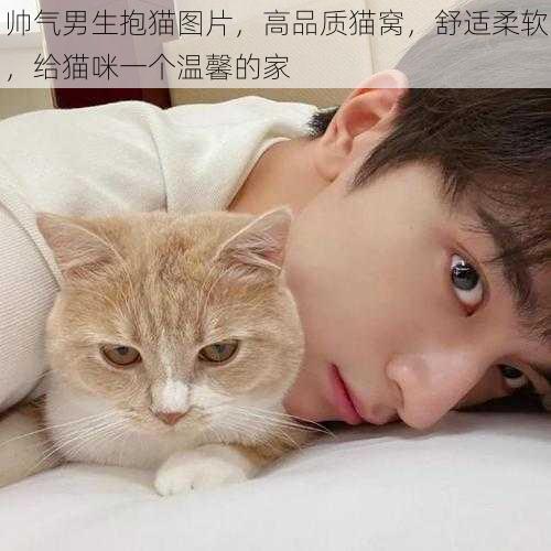 帅气男生抱猫图片，高品质猫窝，舒适柔软，给猫咪一个温馨的家