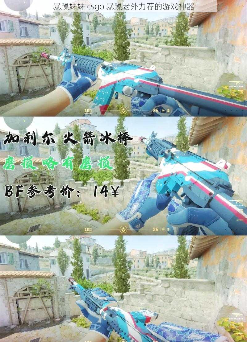 暴躁妹妹 csgo 暴躁老外力荐的游戏神器