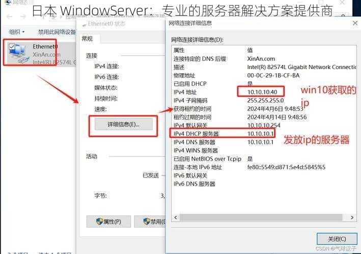 日本 WindowServer：专业的服务器解决方案提供商