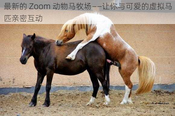 最新的 Zoom 动物马牧场——让你与可爱的虚拟马匹亲密互动