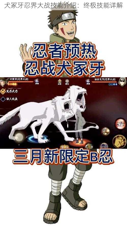 犬冢牙忍界大战技能介绍：终极技能详解