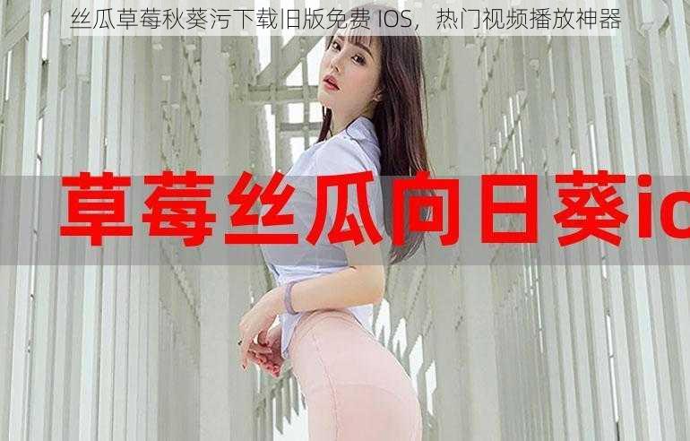 丝瓜草莓秋葵污下载旧版免费 IOS，热门视频播放神器