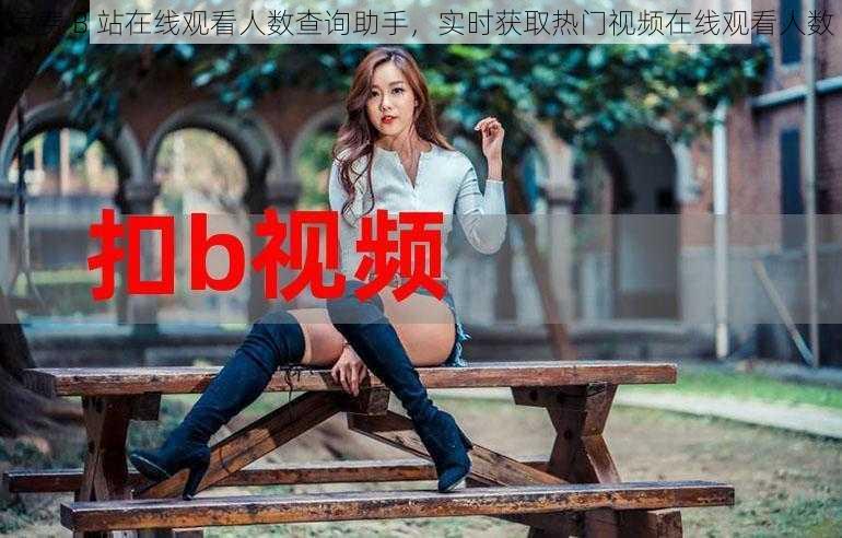 免费 B 站在线观看人数查询助手，实时获取热门视频在线观看人数