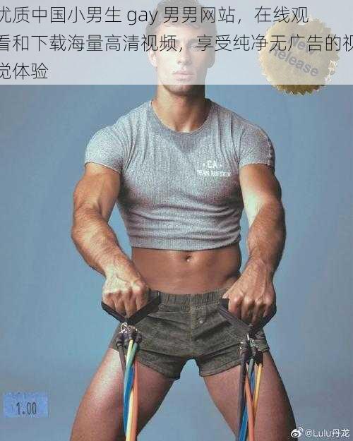 优质中国小男生 gay 男男网站，在线观看和下载海量高清视频，享受纯净无广告的视觉体验