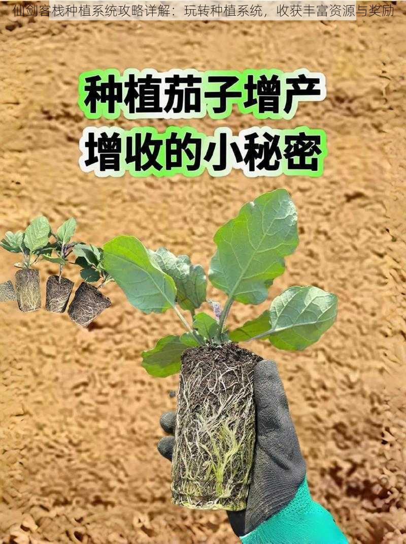 仙剑客栈种植系统攻略详解：玩转种植系统，收获丰富资源与奖励