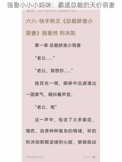 强娶小小小妈咪：霸道总裁的天价萌妻