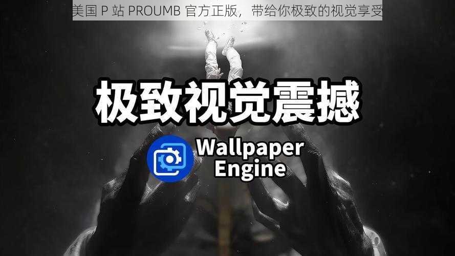 美国 P 站 PROUMB 官方正版，带给你极致的视觉享受