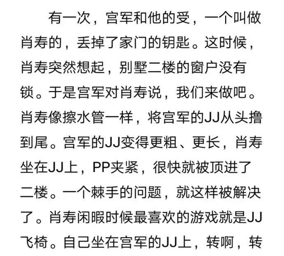 耽美肉文高 h 小说：一场充满激情与欲望的爱恋