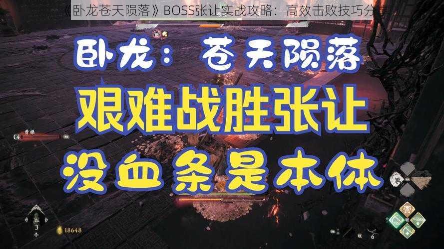 《卧龙苍天陨落》BOSS张让实战攻略：高效击败技巧分享