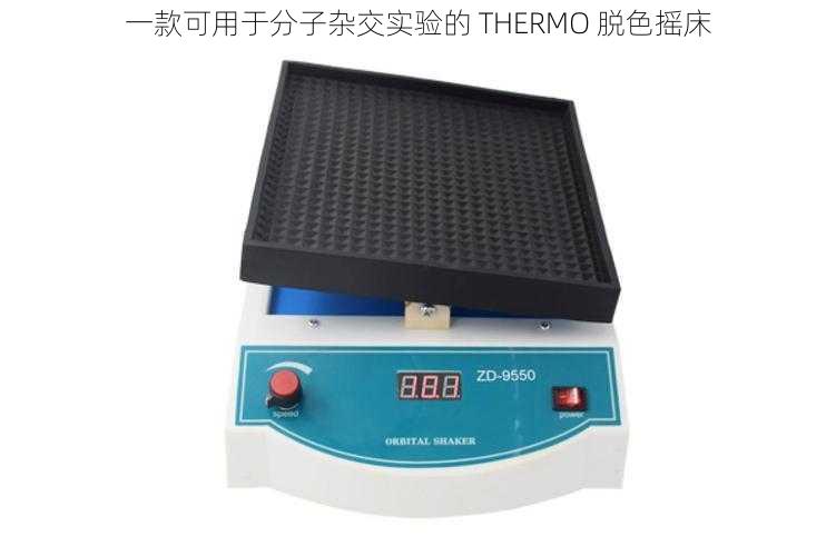 一款可用于分子杂交实验的 THERMO 脱色摇床