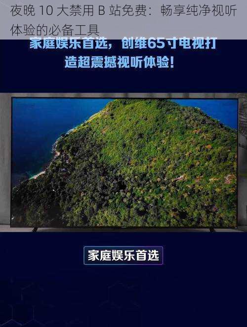 夜晚 10 大禁用 B 站免费：畅享纯净视听体验的必备工具