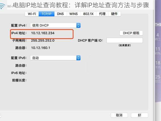 电脑IP地址查询教程：详解IP地址查询方法与步骤