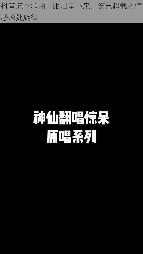 抖音流行歌曲：眼泪留下来，伤已超载的情感深处旋律