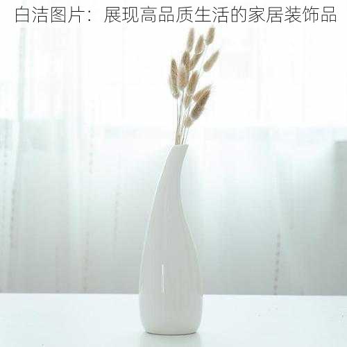 白洁图片：展现高品质生活的家居装饰品