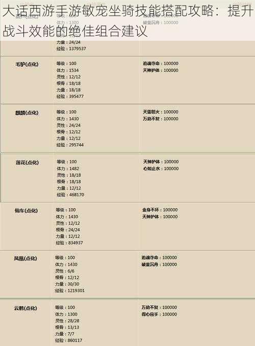 大话西游手游敏宠坐骑技能搭配攻略：提升战斗效能的绝佳组合建议