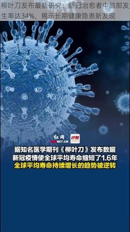 柳叶刀发布最新研究：新冠治愈者中脑部发生率达34%，揭示长期健康隐患新发现