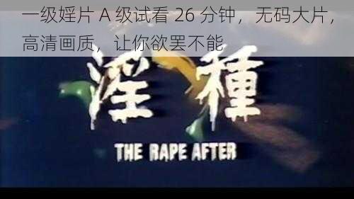 一级婬片 A 级试看 26 分钟，无码大片，高清画质，让你欲罢不能