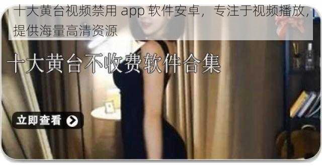 十大黄台视频禁用 app 软件安卓，专注于视频播放，提供海量高清资源