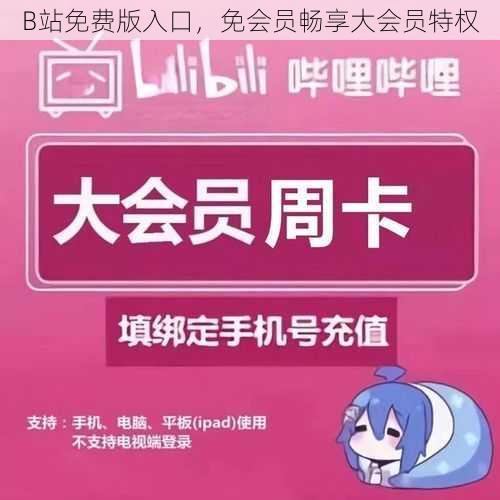 B站免费版入口，免会员畅享大会员特权