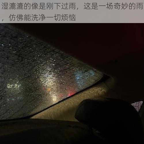 湿漉漉的像是刚下过雨，这是一场奇妙的雨，仿佛能洗净一切烦恼