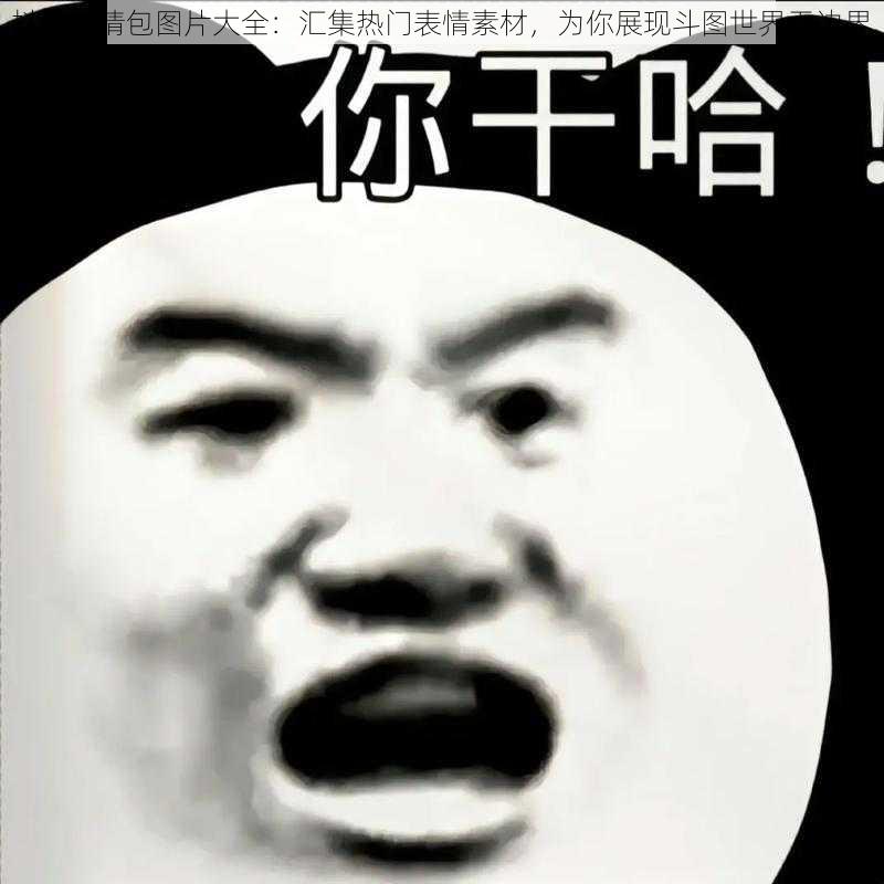 抖音表情包图片大全：汇集热门表情素材，为你展现斗图世界无边界