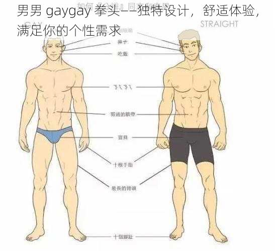 男男 gaygay 拳头——独特设计，舒适体验，满足你的个性需求