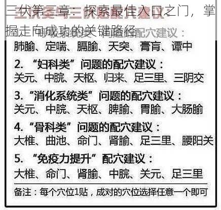 三伏第三章：探索最佳入口之门，掌握走向成功的关键路径