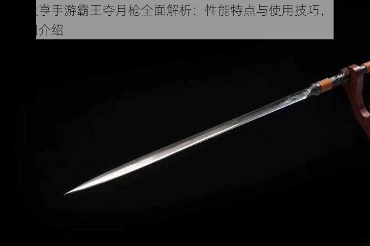 三国大亨手游霸王夺月枪全面解析：性能特点与使用技巧，获取方法详细介绍