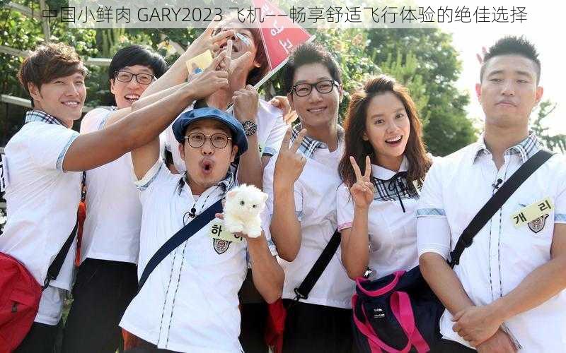 中国小鲜肉 GARY2023 飞机——畅享舒适飞行体验的绝佳选择