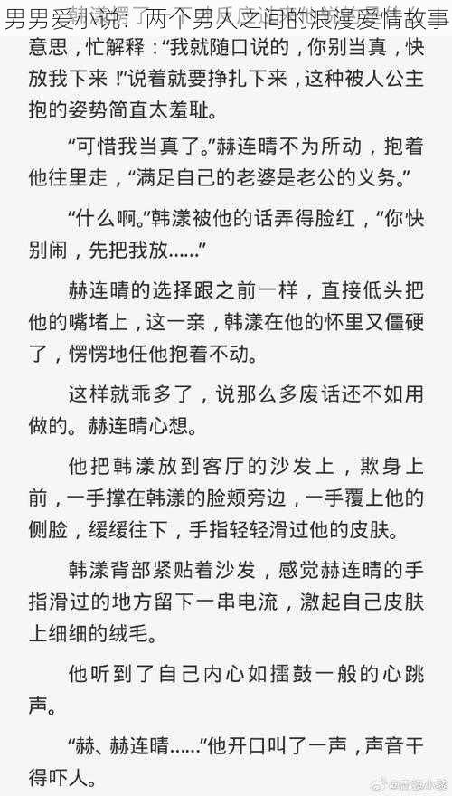 男男爱小说：两个男人之间的浪漫爱情故事