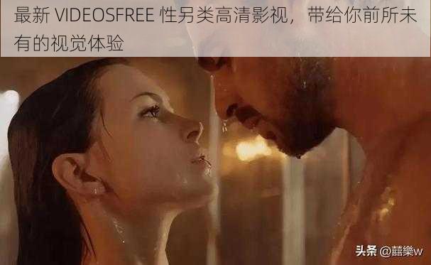 最新 VIDEOSFREE 性另类高清影视，带给你前所未有的视觉体验