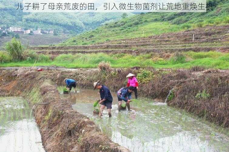 儿子耕了母亲荒废的田，引入微生物菌剂让荒地重焕生机