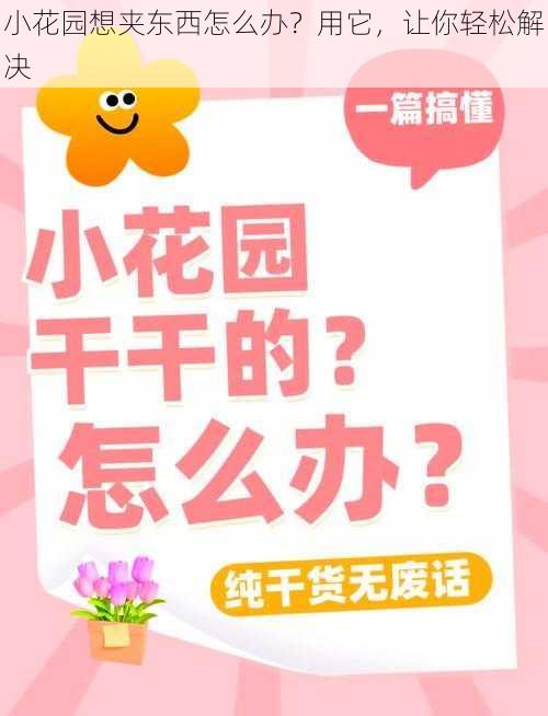 小花园想夹东西怎么办？用它，让你轻松解决