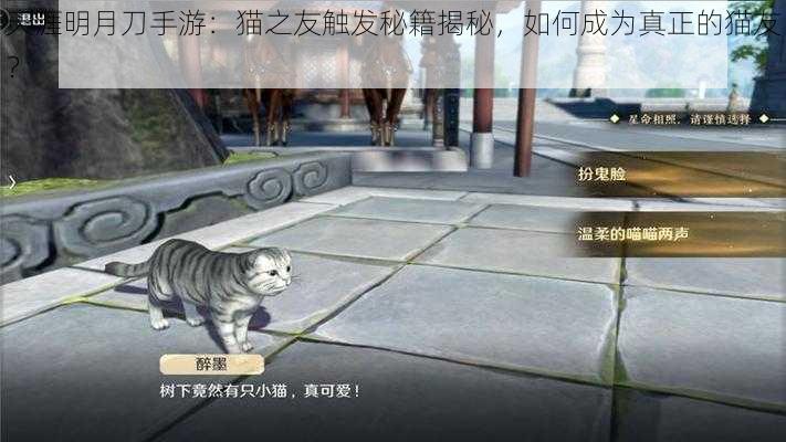 天涯明月刀手游：猫之友触发秘籍揭秘，如何成为真正的猫友？