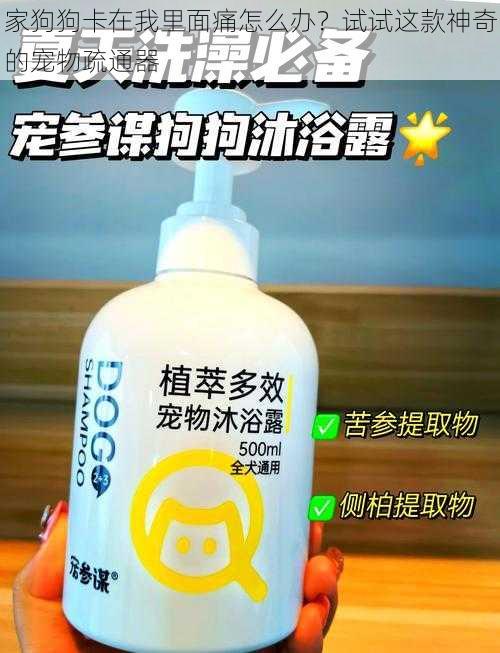 家狗狗卡在我里面痛怎么办？试试这款神奇的宠物疏通器