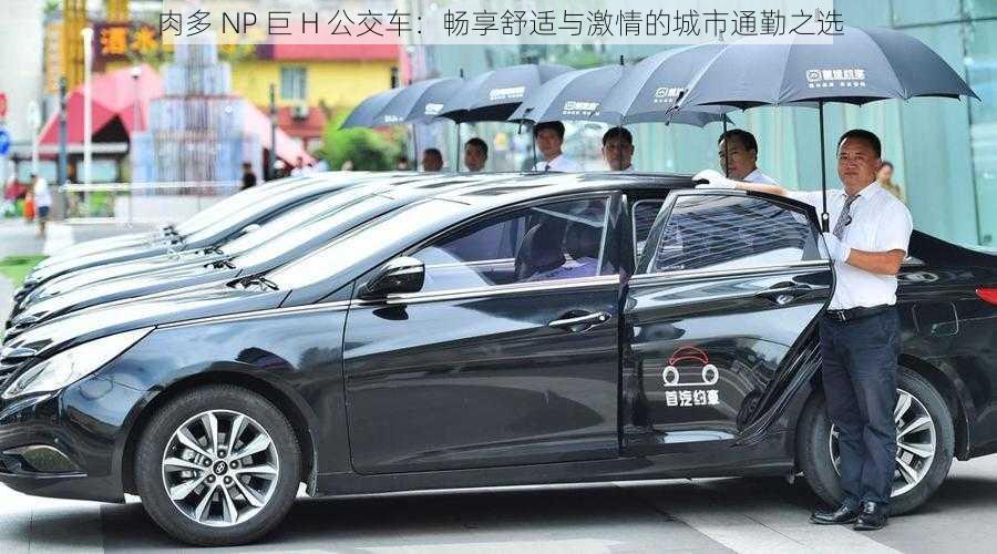 肉多 NP 巨 H 公交车：畅享舒适与激情的城市通勤之选