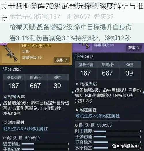 关于黎明觉醒70级武器选择的深度解析与推荐