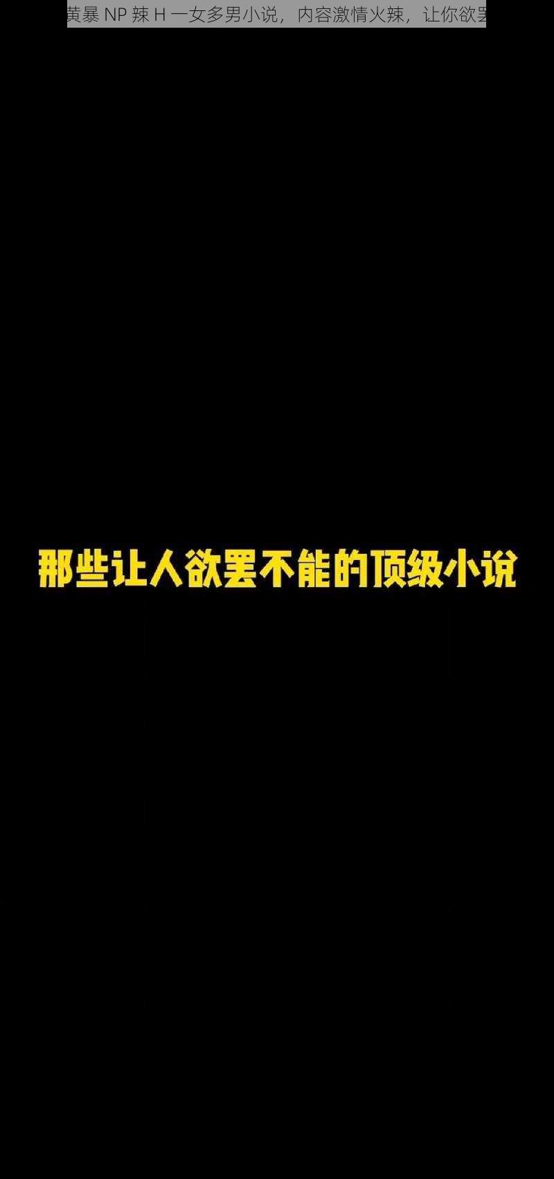 高 H 黄暴 NP 辣 H 一女多男小说，内容激情火辣，让你欲罢不能