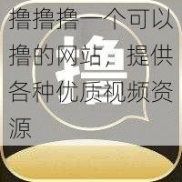 撸撸撸一个可以撸的网站，提供各种优质视频资源