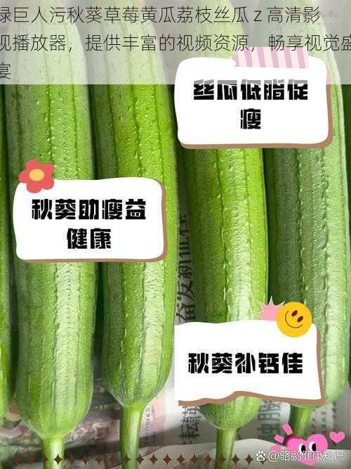 绿巨人污秋葵草莓黄瓜荔枝丝瓜 z 高清影视播放器，提供丰富的视频资源，畅享视觉盛宴