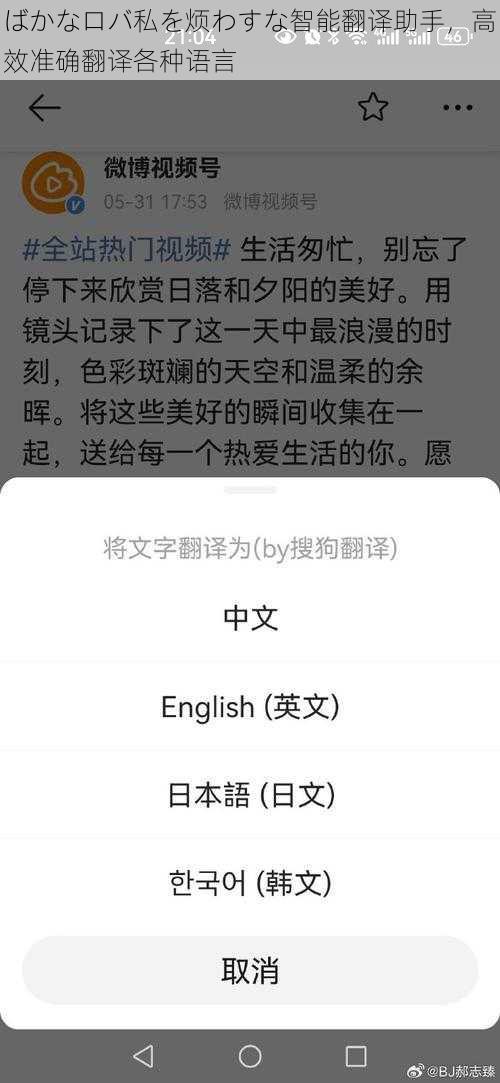 ばかなロバ私を烦わすな智能翻译助手，高效准确翻译各种语言